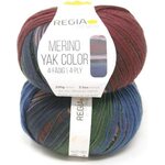 Regia Premium Merino Yak Color sukkalanka 100 g 8505 Terrain gradient