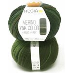 Regia Premium Merino Yak Color sukkalanka 100 g 8507 Jungle gradient