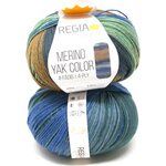 Regia Premium Merino Yak Color sukkalanka 100 g 8509 Meadow gradient