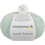 Schachenmayr Schachenmayr Wool4future 50 g 060 ライトグリーン