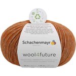 Schachenmayr Schachenmayr Wool4future 50 g 015 茶色