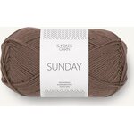 Sandnes Garn Sunday 3161 ruskea