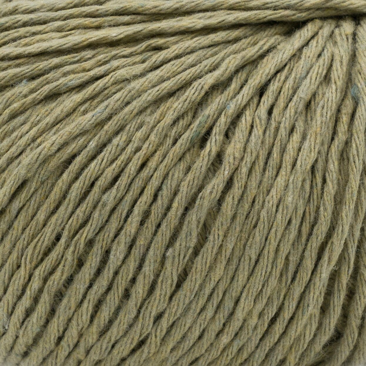 LAINES DU NORD Ecotone 37 Oliva