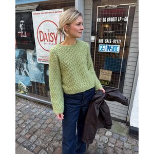 Petite Knit Jenny Blouse (in English)