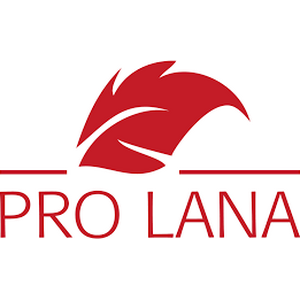 Pro Lana Chenille 100g